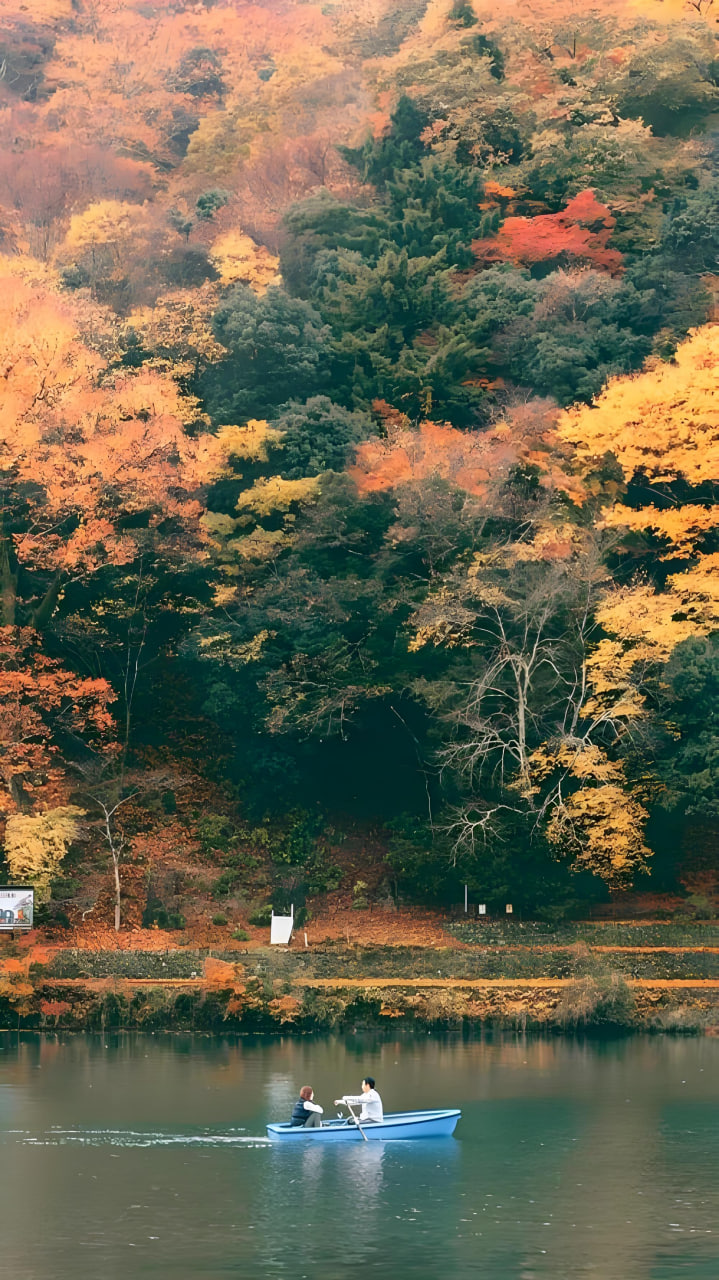 排行榜
